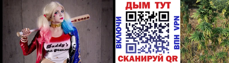 Псилоцибиновые грибы Вытегра