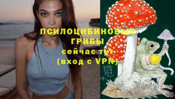 альфа пвп Ростов
